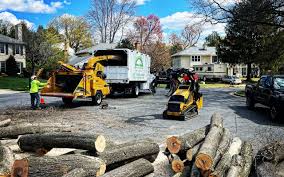 Best Stump Grinding and Removal  in Glenn Dale, MD