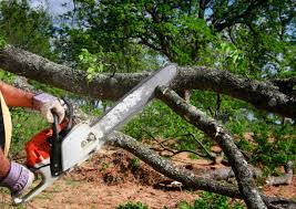 Best Soil Testing and Treatment  in Glenn Dale, MD