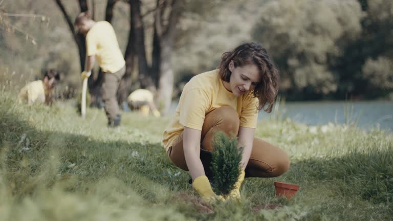 Best Lawn Disease Treatment  in Glenn Dale, MD